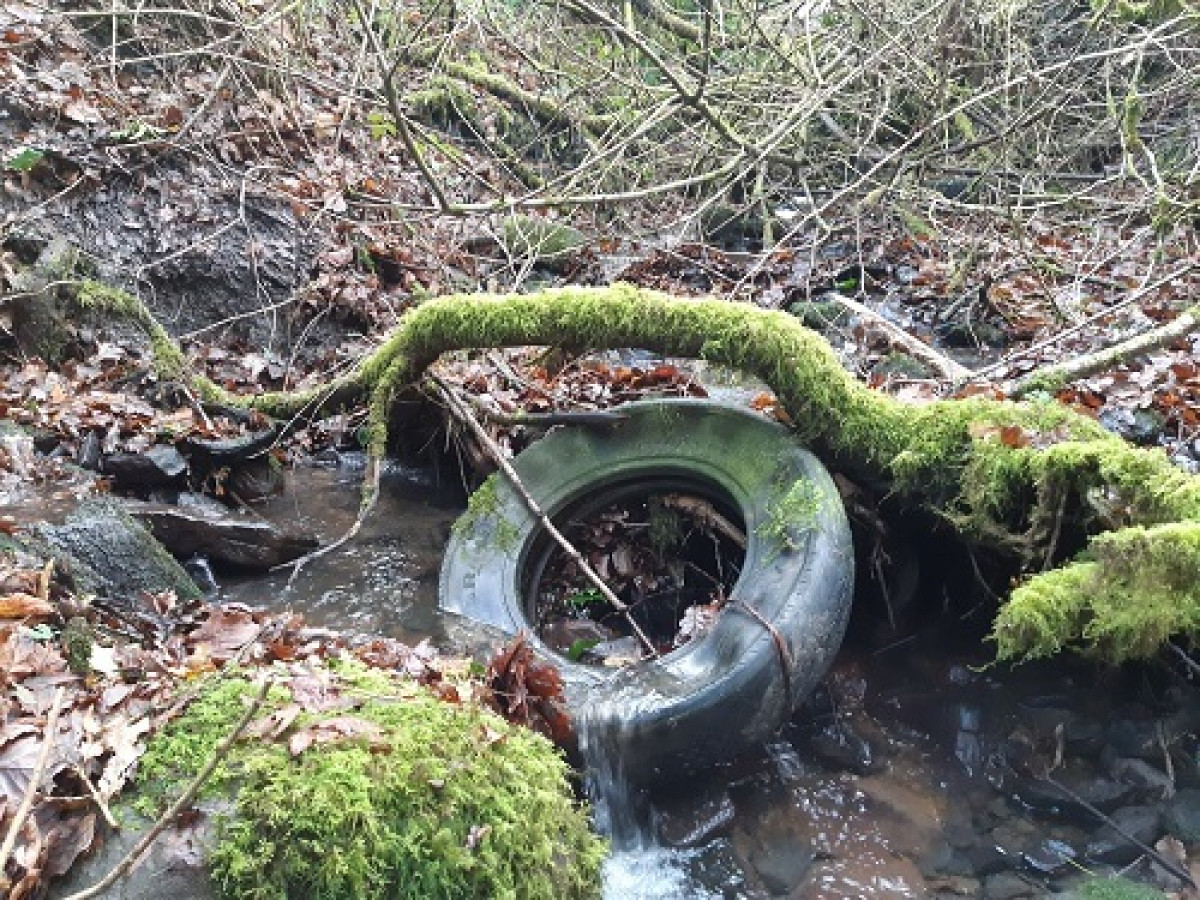 Old Tyre Left In Northern Stream Old Tyre Left In Northern Stream
