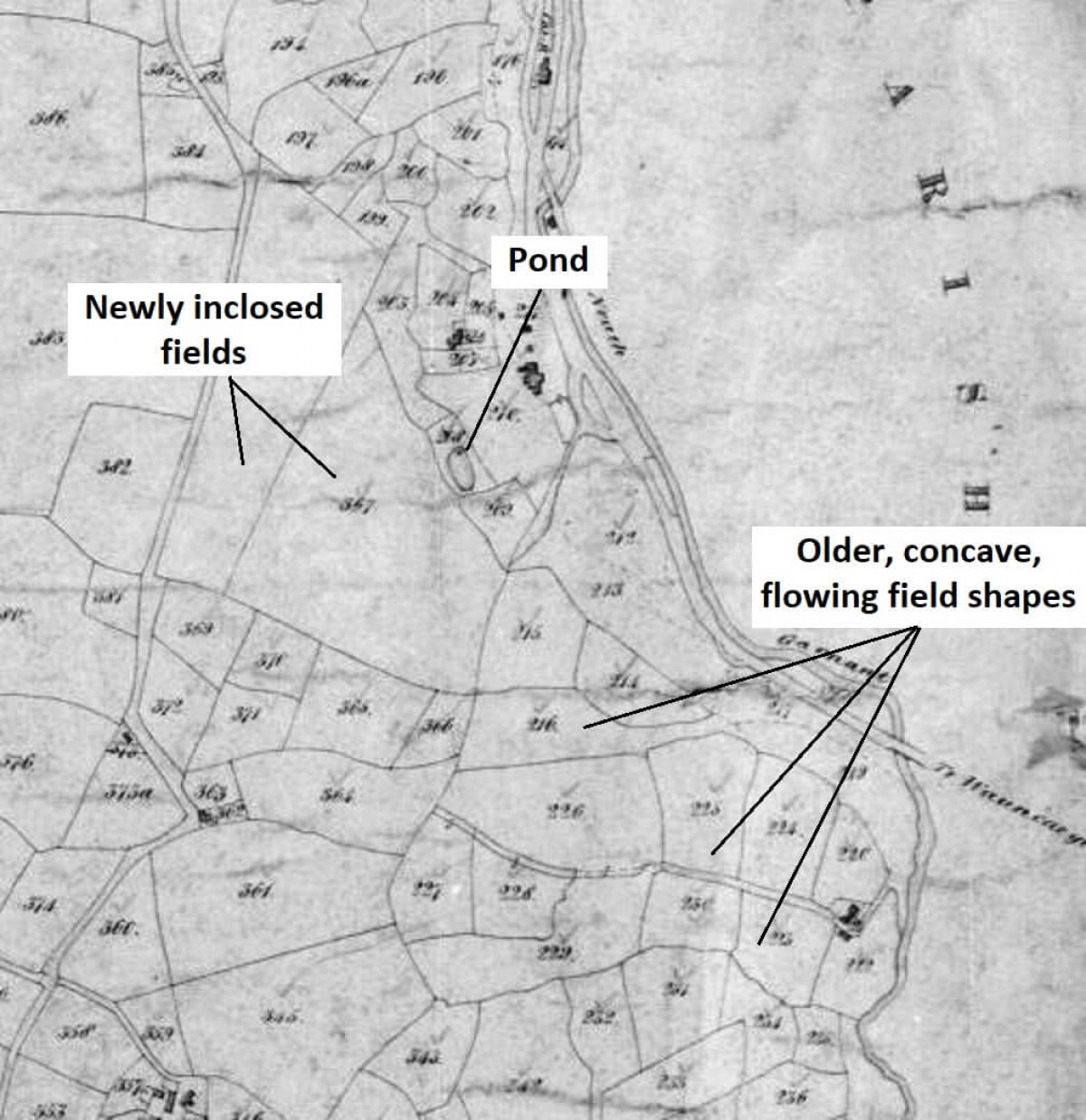 1849 Tithes Map, Amended For Field Shapes 1849 Tithes Map, Amended For Field Shapes