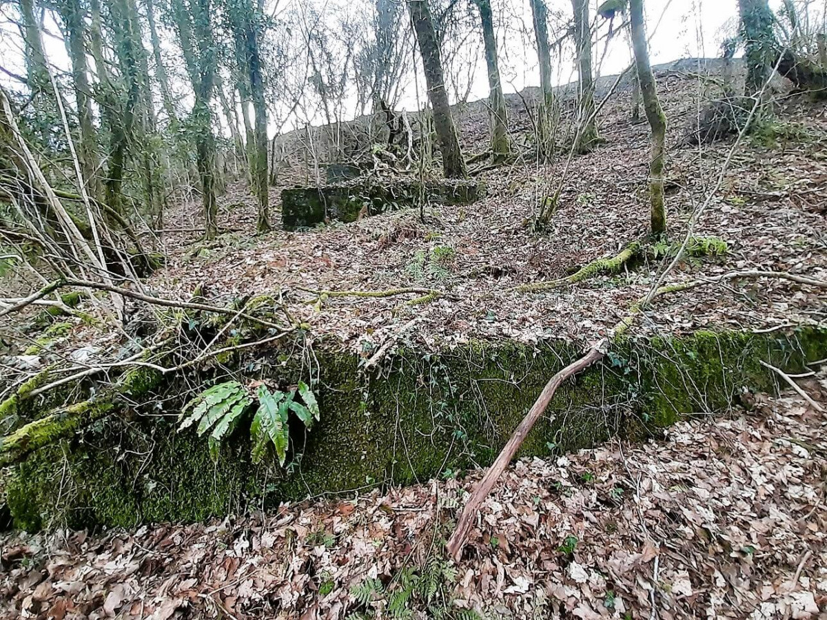 Coed Olaf - Concrete Base For Tramway Still Visible In Railway Cut Coed Olaf - Concrete Base For Tramway Still Visible In Railway Cut